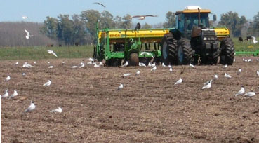 Fertilizantes Fertilizantes